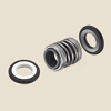 Double Mechanical Seals